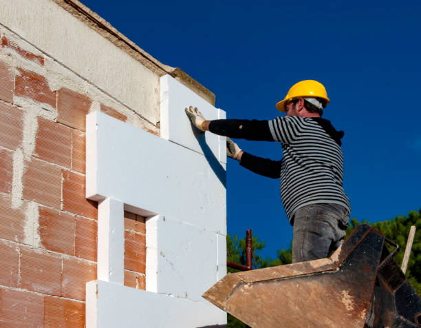 Best Spray Foam Insulation  in West Unity, OH