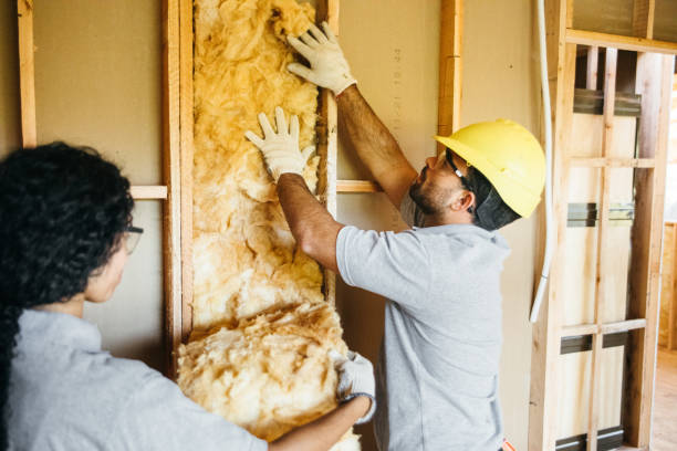 Best Spray Foam Insulation  in West Unity, OH