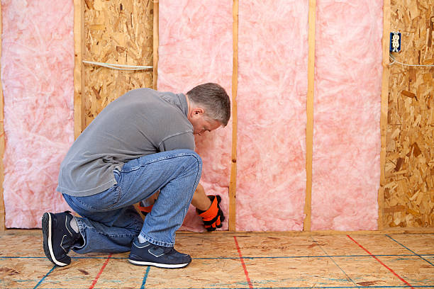 Best Fiberglass Insulation  in West Unity, OH