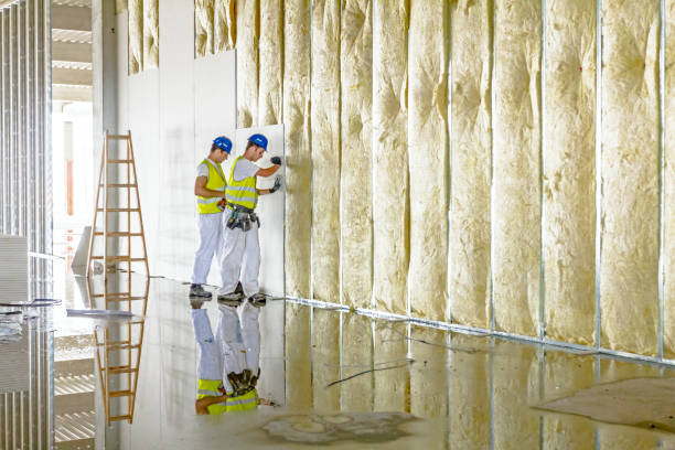 Best Attic Insulation Installation  in West Unity, OH